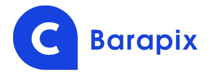 Barapix Logo